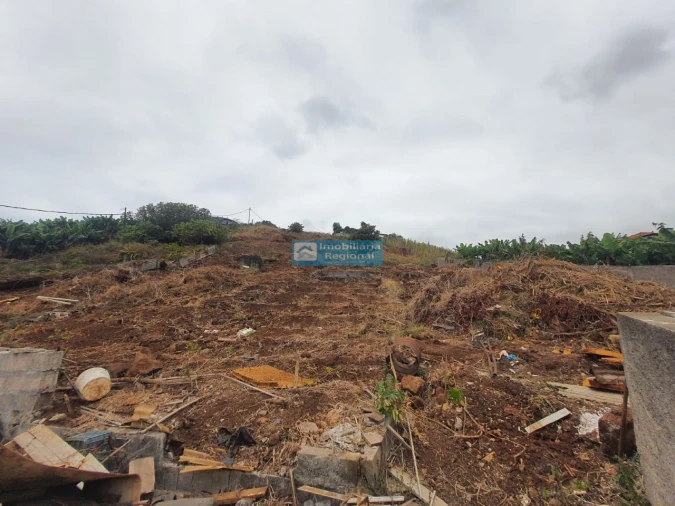 Terreno para Venda em São Martinho Foto 7