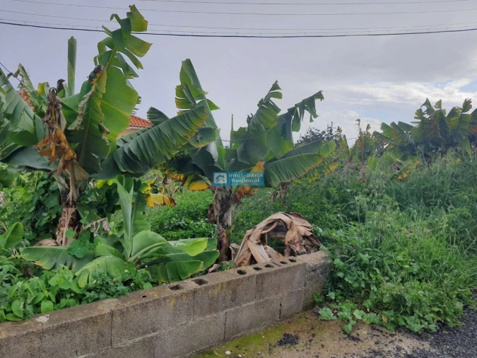 Terreno para Venda em São Martinho Foto 13