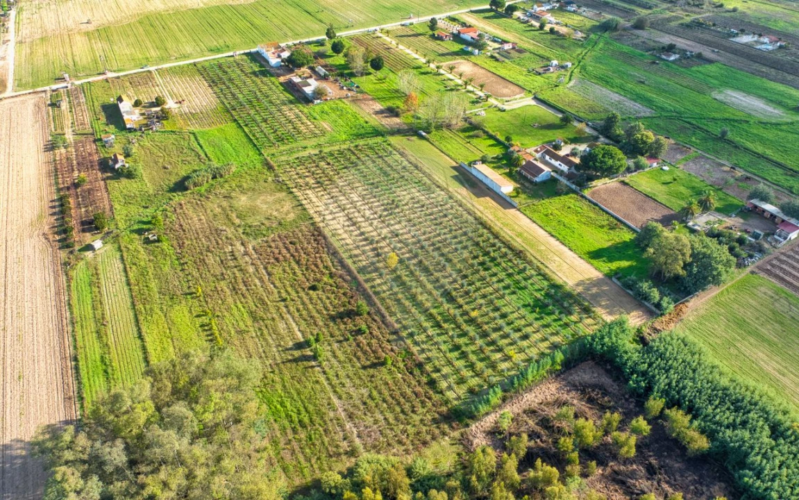 Moradia T2 para Venda em Benfica do Ribatejo Foto 15