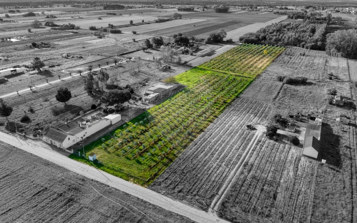 Moradia T2 para Venda em Benfica do Ribatejo Foto 3