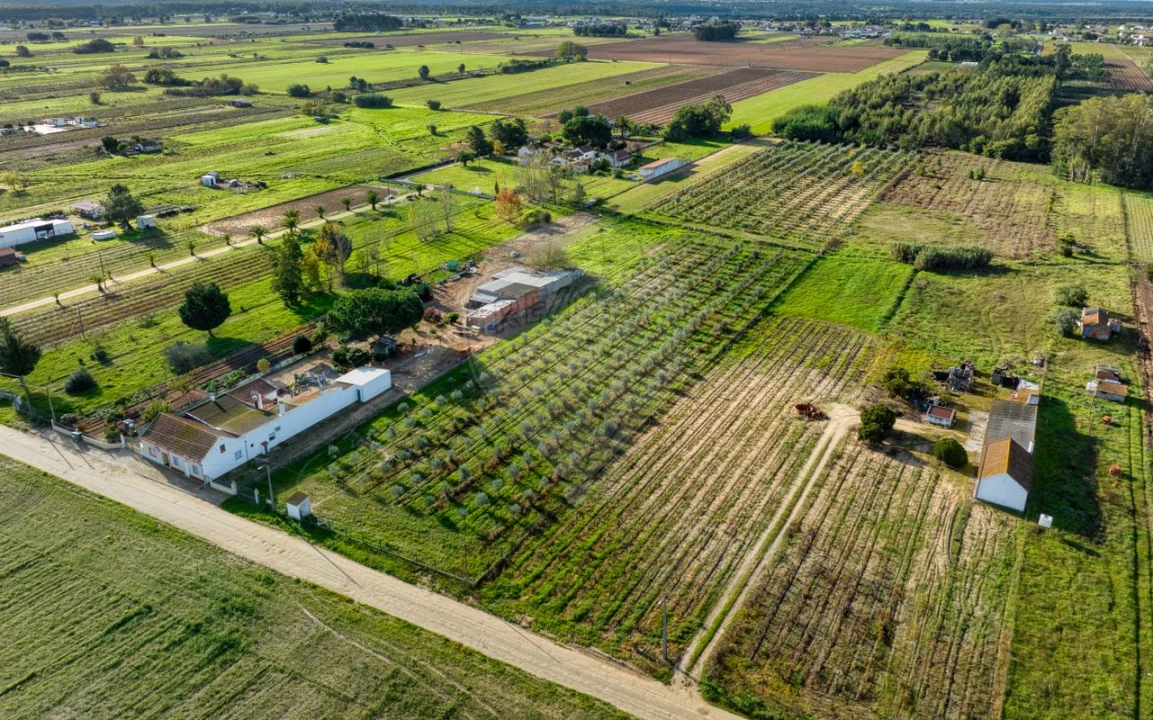 Moradia T2 para Venda em Benfica do Ribatejo Foto 9