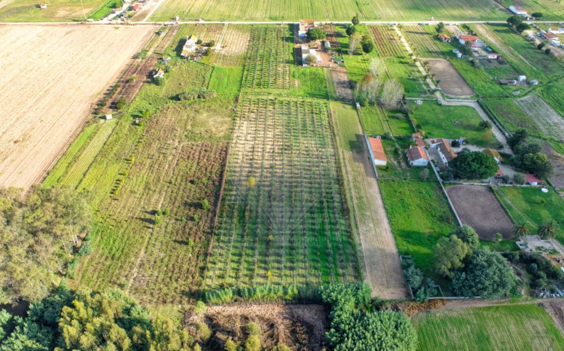 Moradia T2 para Venda em Benfica do Ribatejo Foto 14