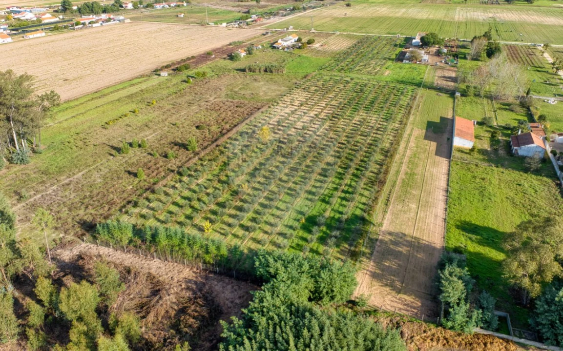 Moradia T2 para Venda em Benfica do Ribatejo Foto 17