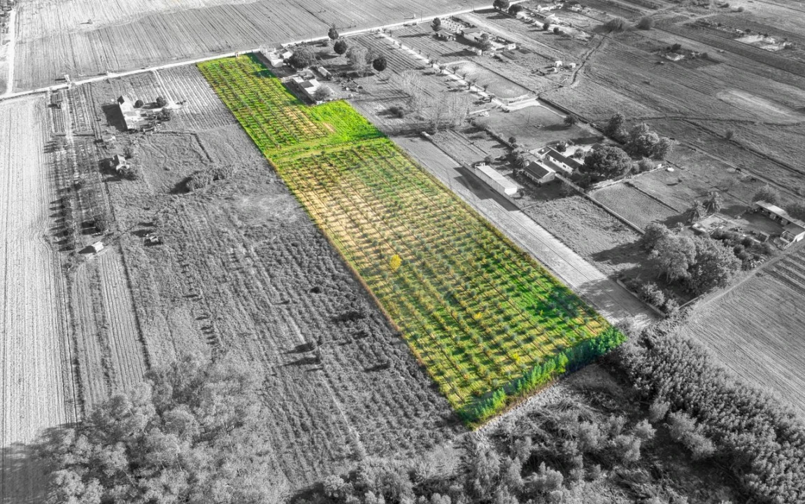 Moradia T2 para Venda em Benfica do Ribatejo Foto 6