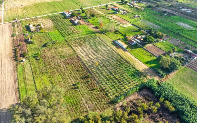 Moradia T2 para Venda em Benfica do Ribatejo Foto 15