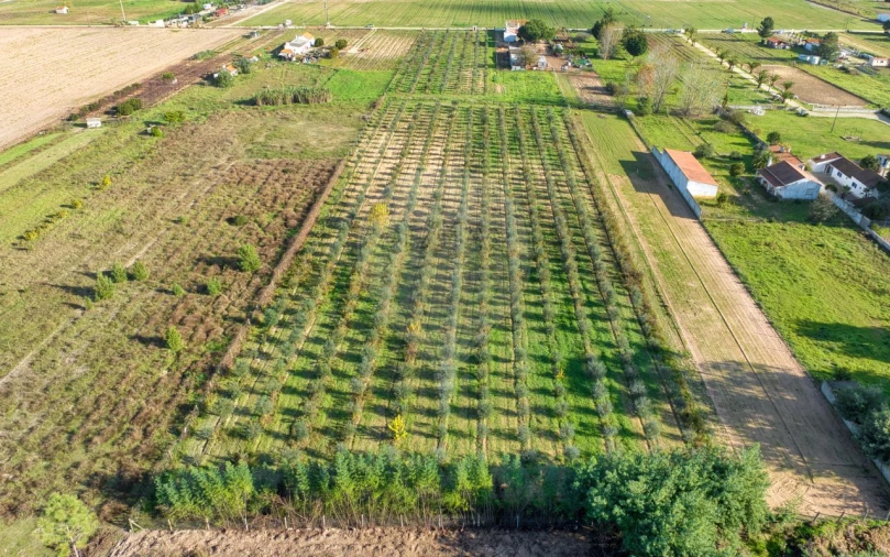 Moradia T2 para Venda em Benfica do Ribatejo Foto 21