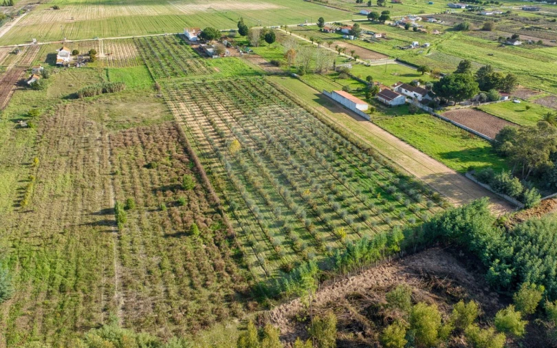 Moradia T2 para Venda em Benfica do Ribatejo Foto 19