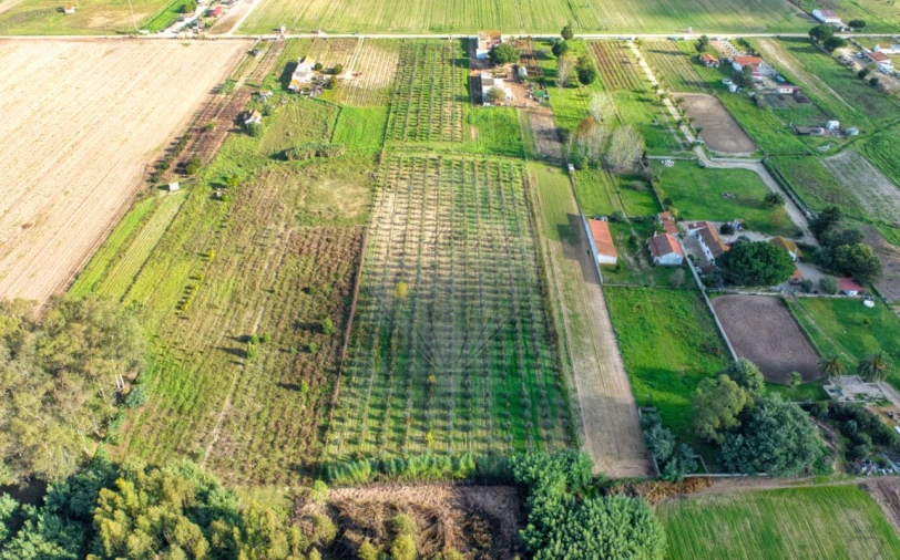 Moradia T2 para Venda em Benfica do Ribatejo Foto 14