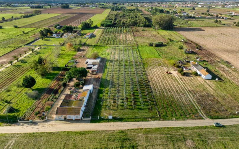 Moradia T2 para Venda em Benfica do Ribatejo Foto 8