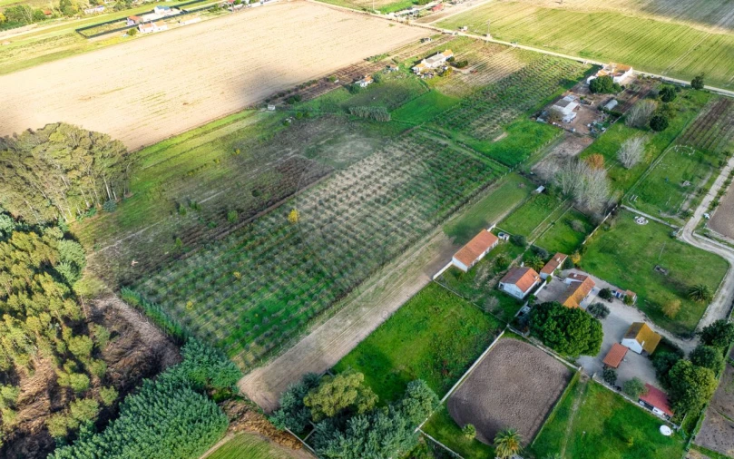 Moradia T2 para Venda em Benfica do Ribatejo Foto 13