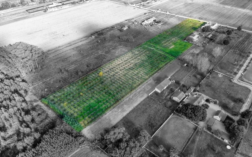 Moradia T2 para Venda em Benfica do Ribatejo Foto 5