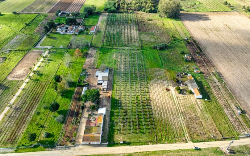 Moradia T2 para Venda em Benfica do Ribatejo Foto 11