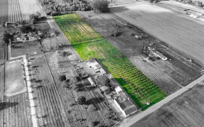 Moradia T2 para Venda em Benfica do Ribatejo Foto 4