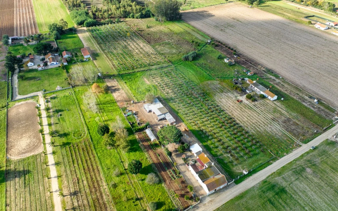 Moradia T2 para Venda em Benfica do Ribatejo Foto 12