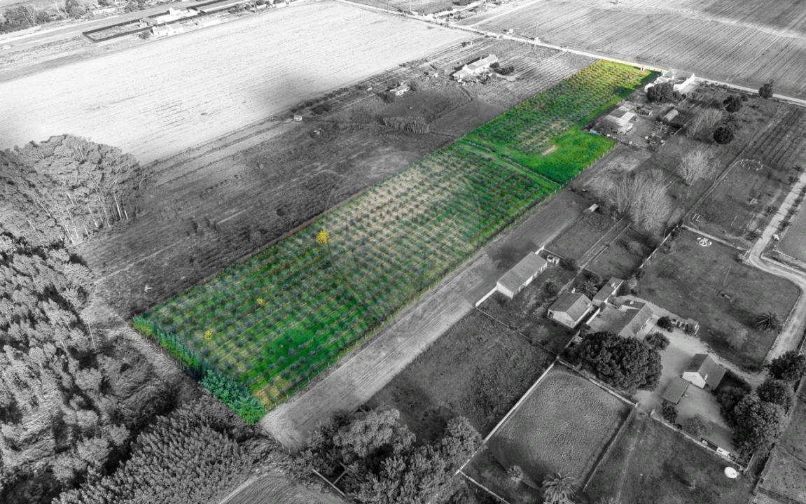 Moradia T2 para Venda em Benfica do Ribatejo Foto 5