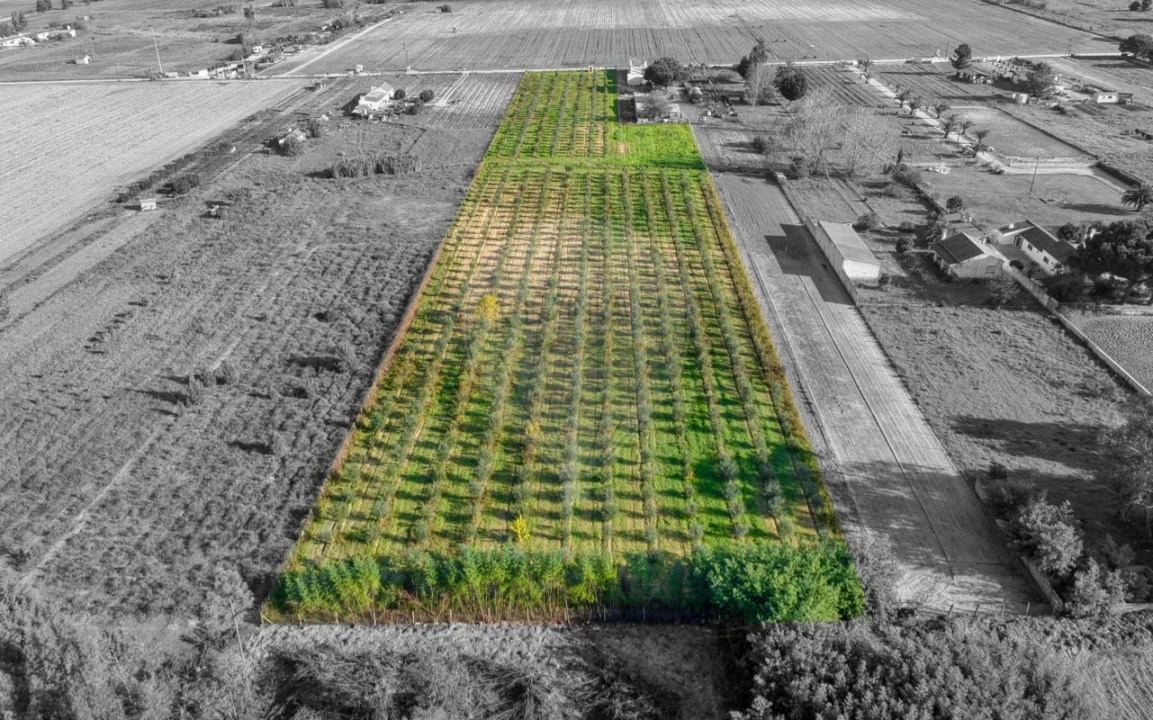 Moradia T2 para Venda em Benfica do Ribatejo Foto 7