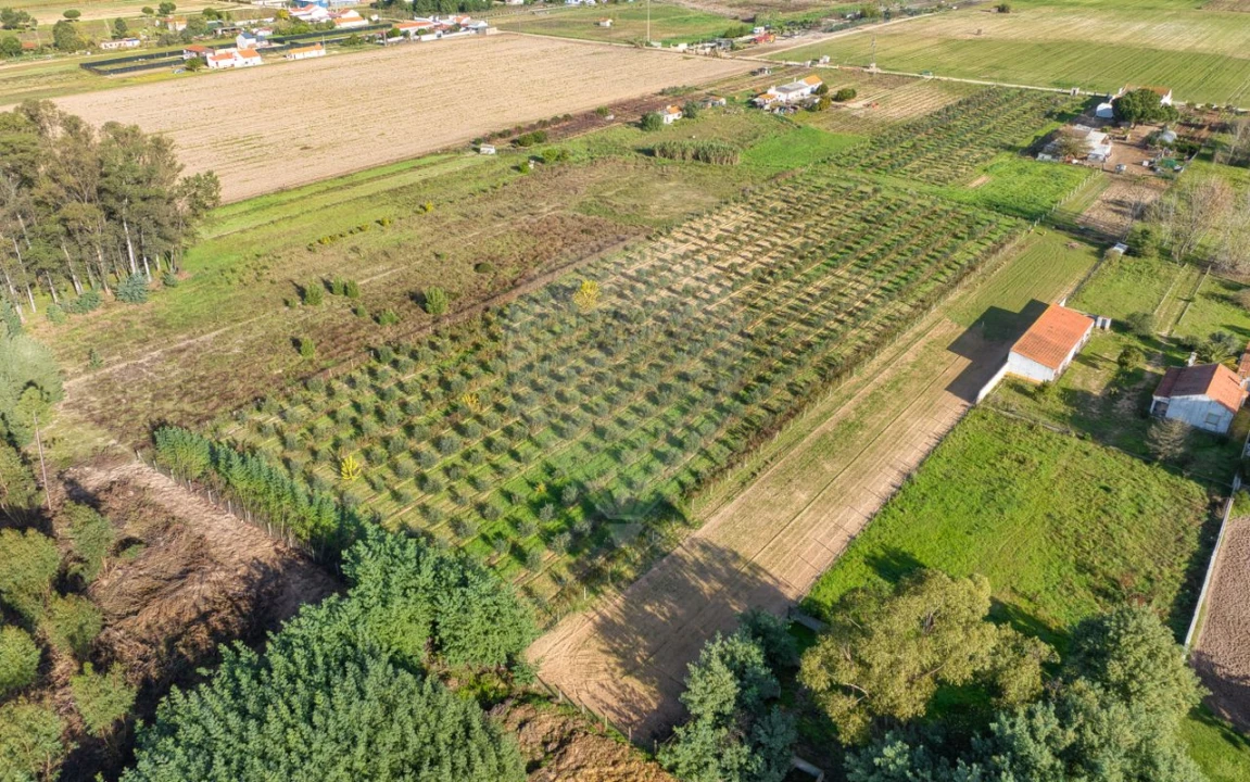 Moradia T2 para Venda em Benfica do Ribatejo Foto 20