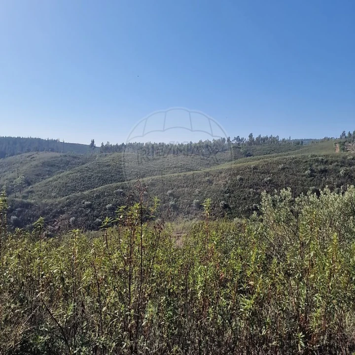 Terreno para Venda em Envendos Foto 5