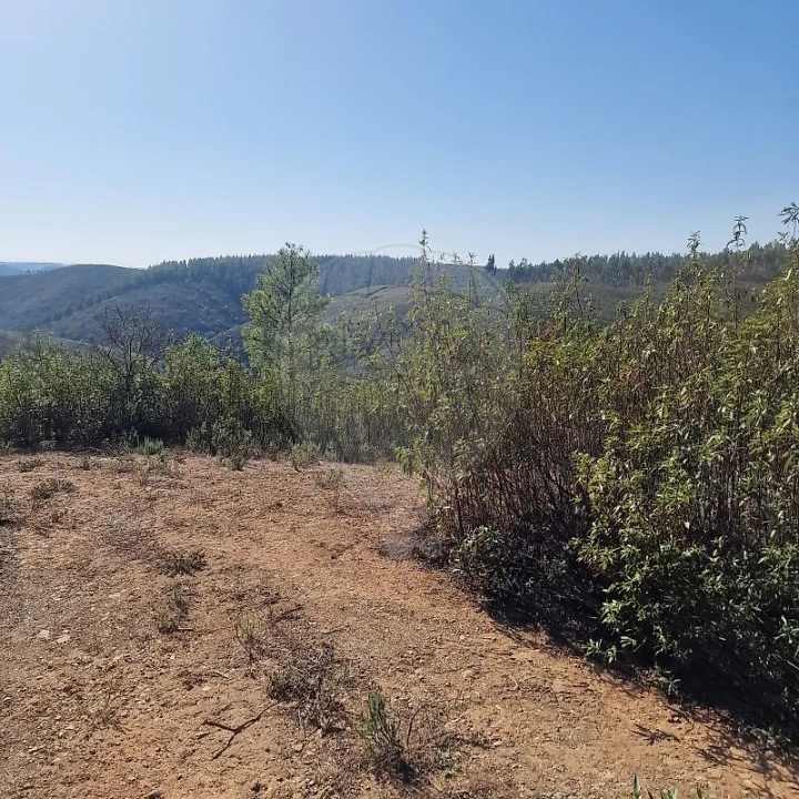 Terreno para Venda em Envendos Foto 9