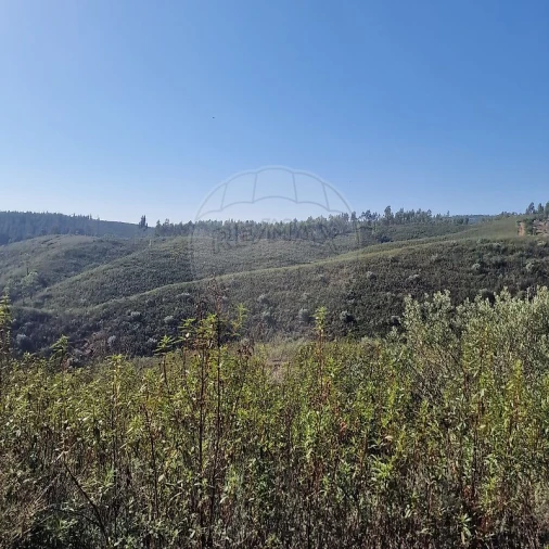 Terreno para Venda em Envendos Foto 5