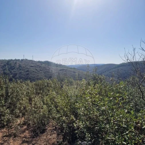 Terreno para Venda em Envendos Foto 6