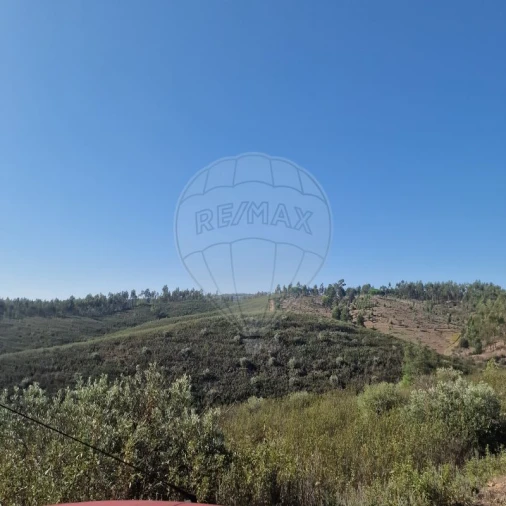 Terreno para Venda em Envendos