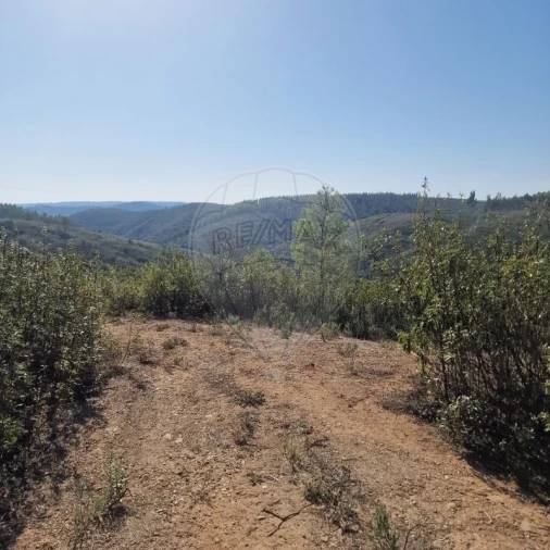 Terreno para Venda em Envendos Foto 8