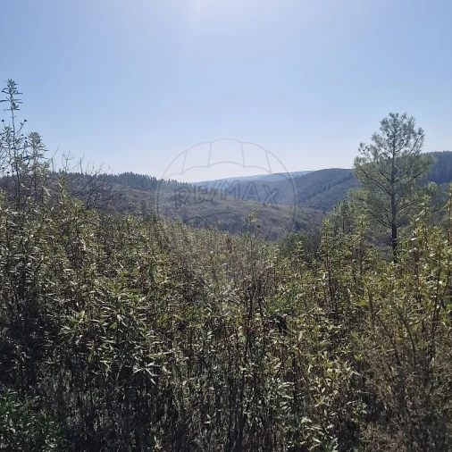 Terreno para Venda em Envendos Foto 2