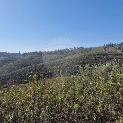 Terreno para Venda em Envendos Foto 4