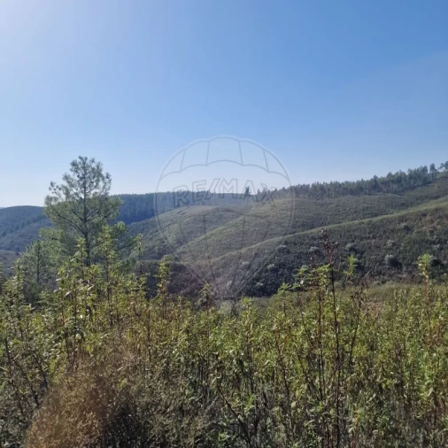 Terreno para Venda em Envendos Foto 3