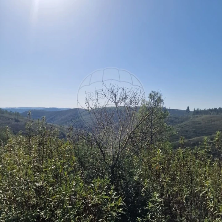 Terreno para Venda em Envendos Foto 7