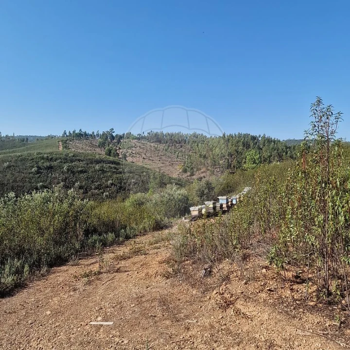 Terreno para Venda em Envendos Foto 10