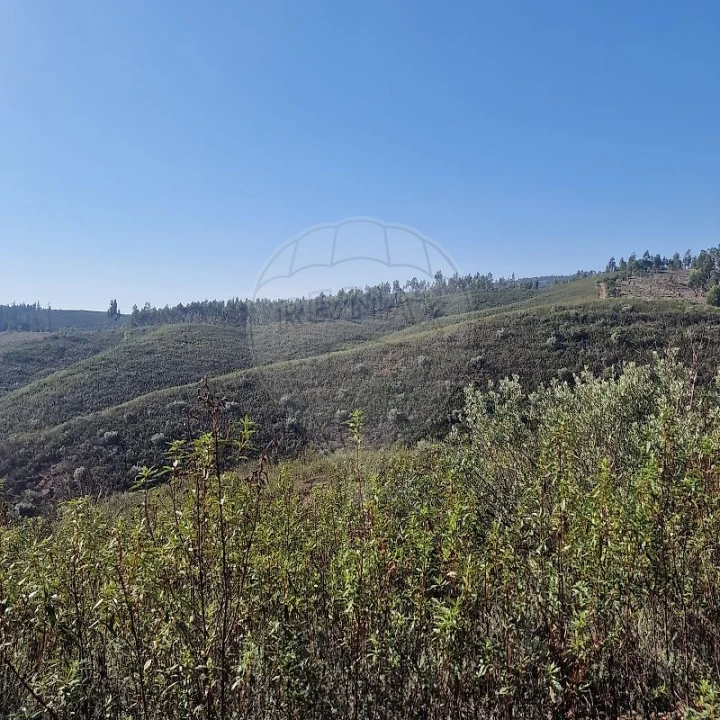 Terreno para Venda em Envendos Foto 4