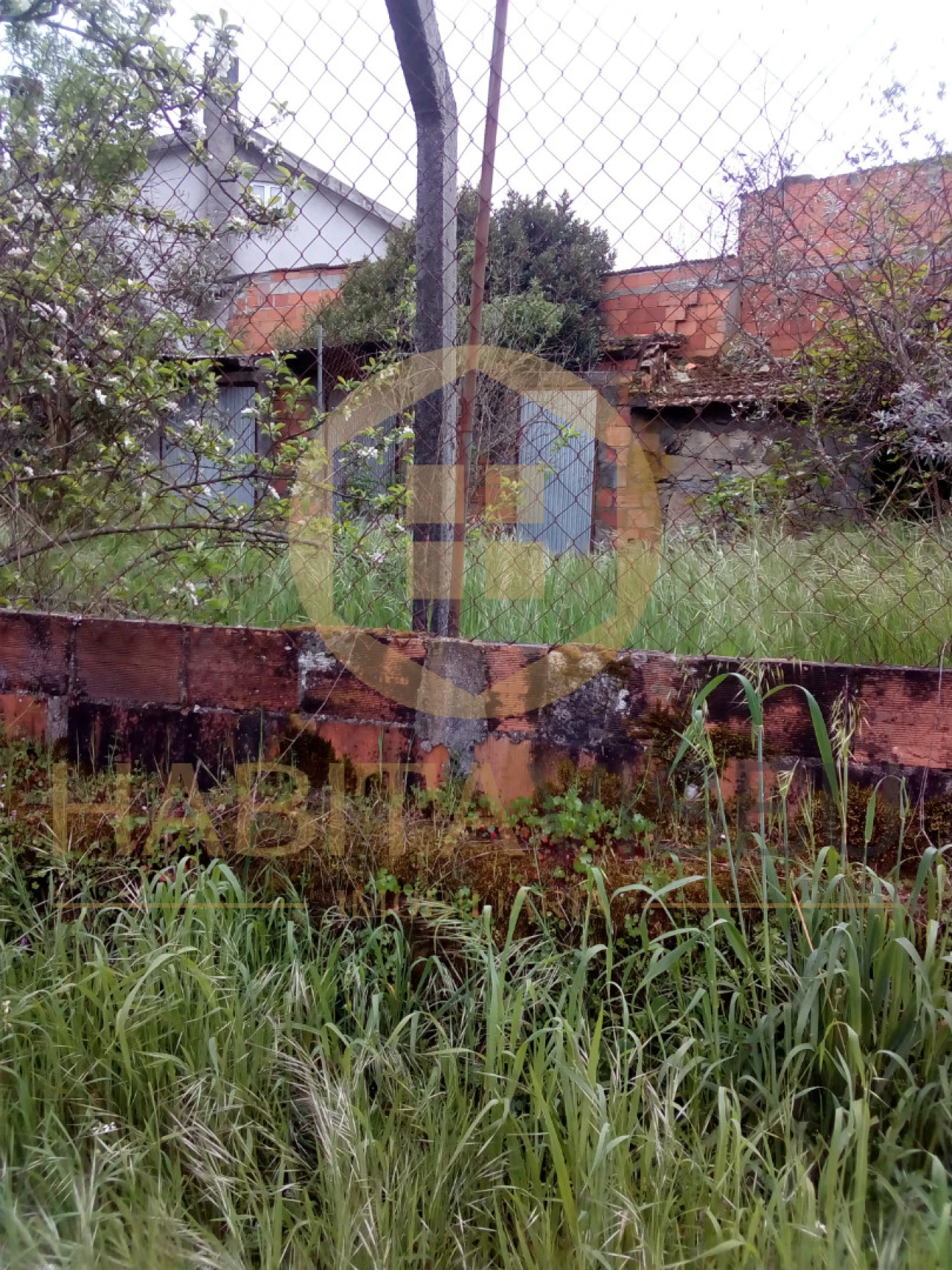 Quinta T4 para Venda em Mangualde, Mesquitela e Cunha Alta Foto 18