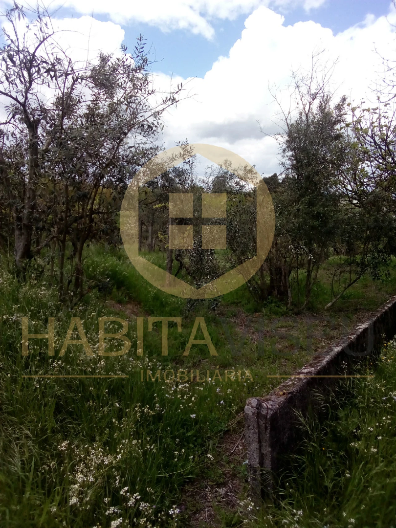 Quinta T4 para Venda em Mangualde, Mesquitela e Cunha Alta Foto 13