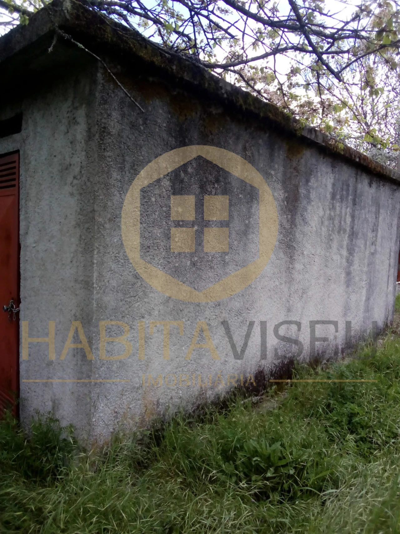 Quinta T4 para Venda em Mangualde, Mesquitela e Cunha Alta Foto 21