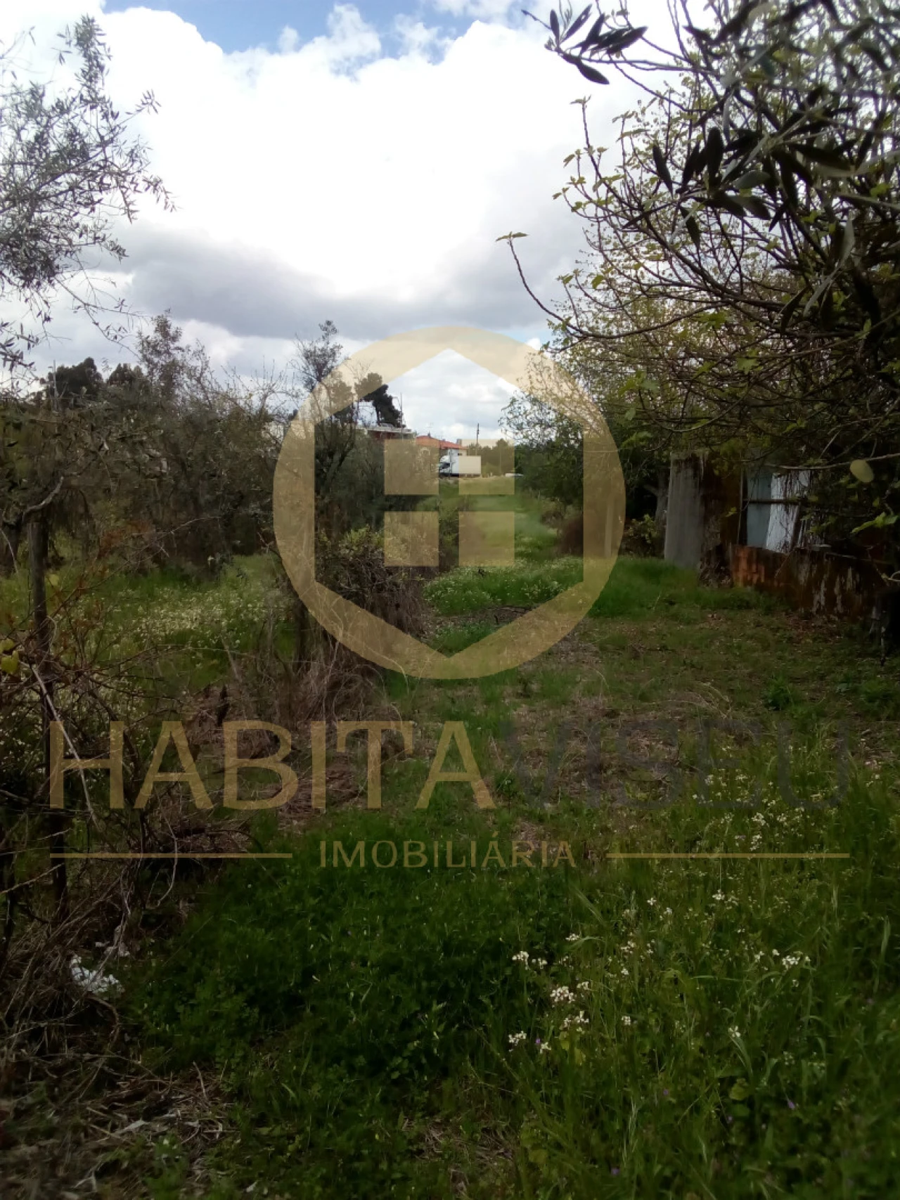 Quinta T4 para Venda em Mangualde, Mesquitela e Cunha Alta Foto 14