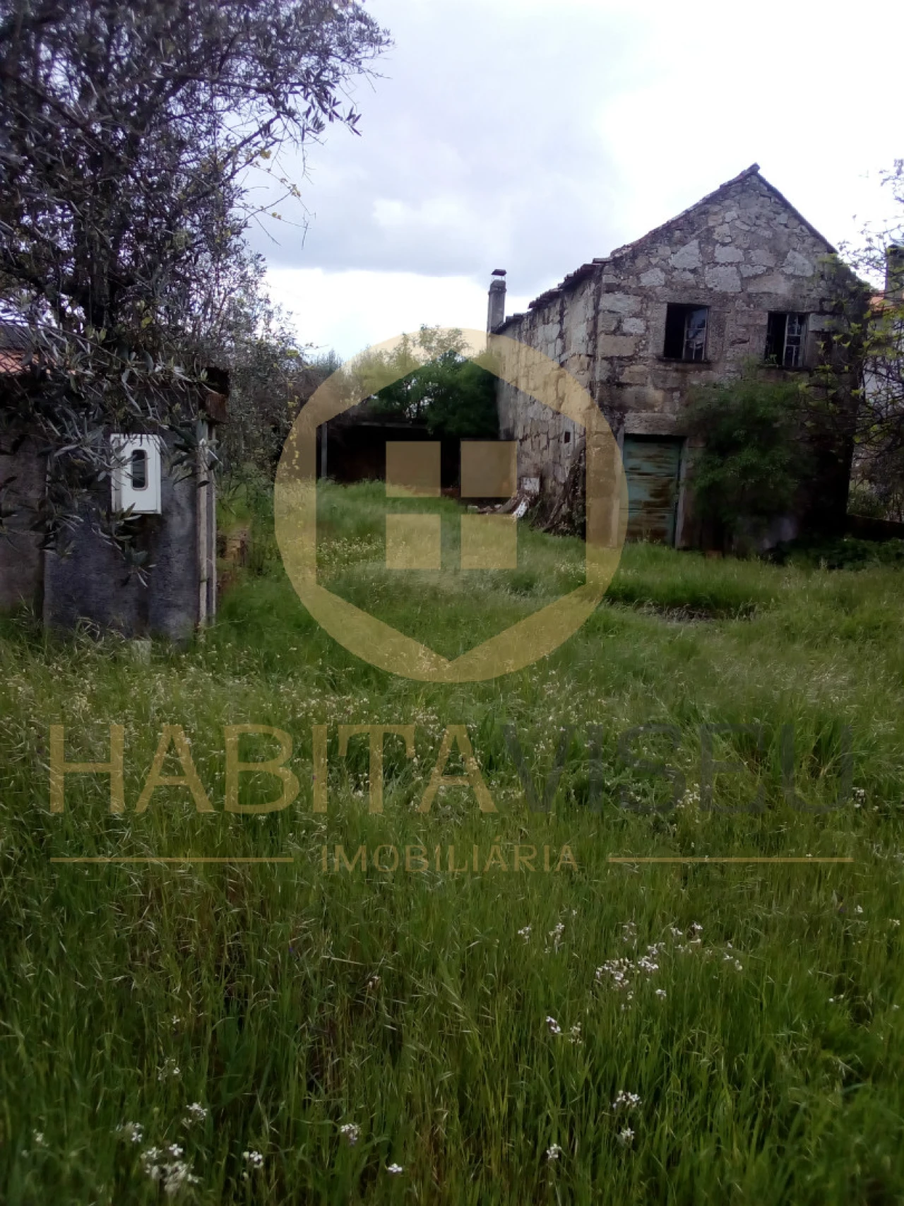 Quinta T4 para Venda em Mangualde, Mesquitela e Cunha Alta Foto 9