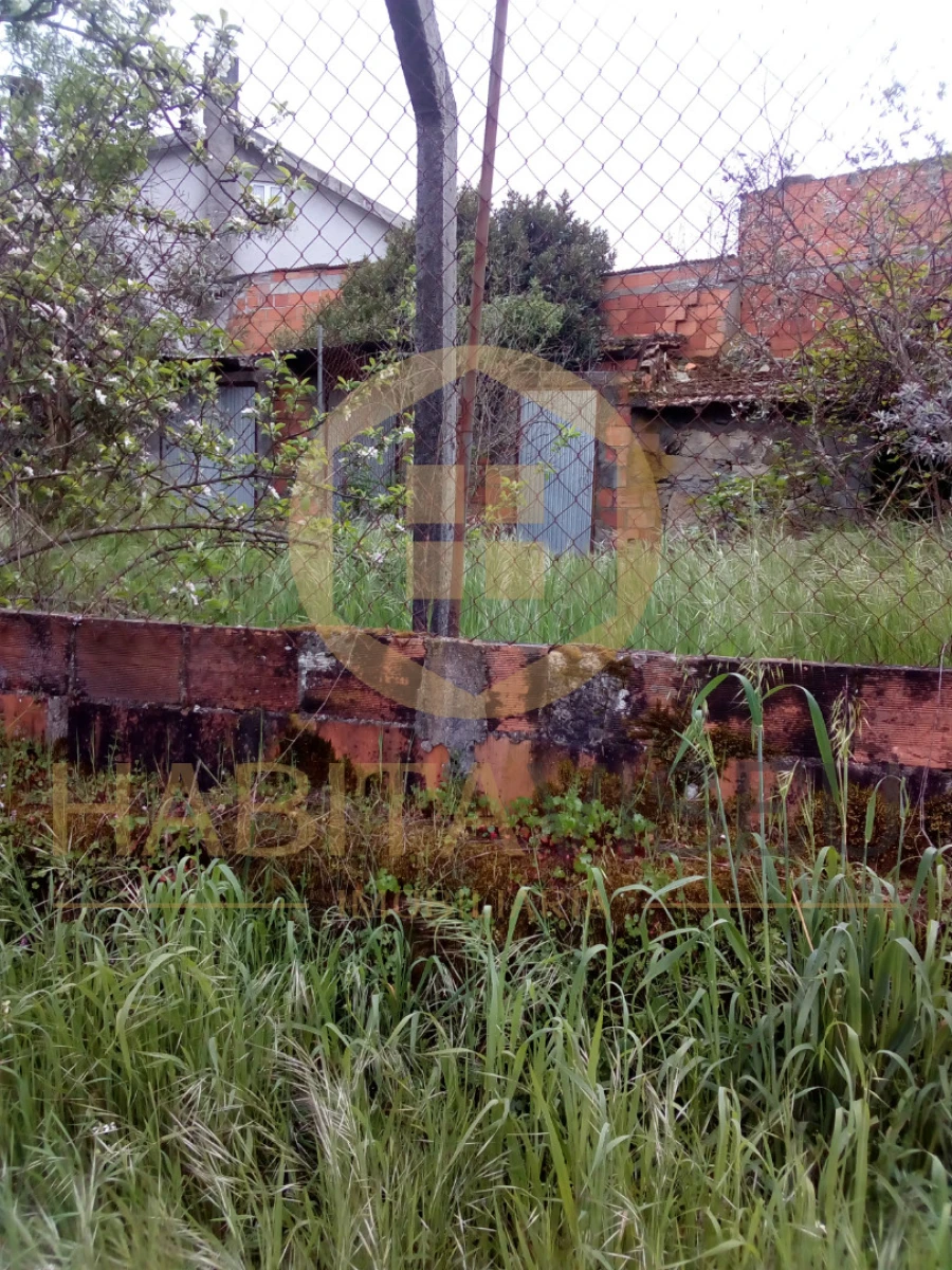 Quinta T4 para Venda em Mangualde, Mesquitela e Cunha Alta Foto 18