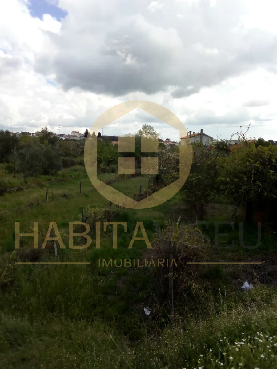 Quinta T4 para Venda em Mangualde, Mesquitela e Cunha Alta Foto 27