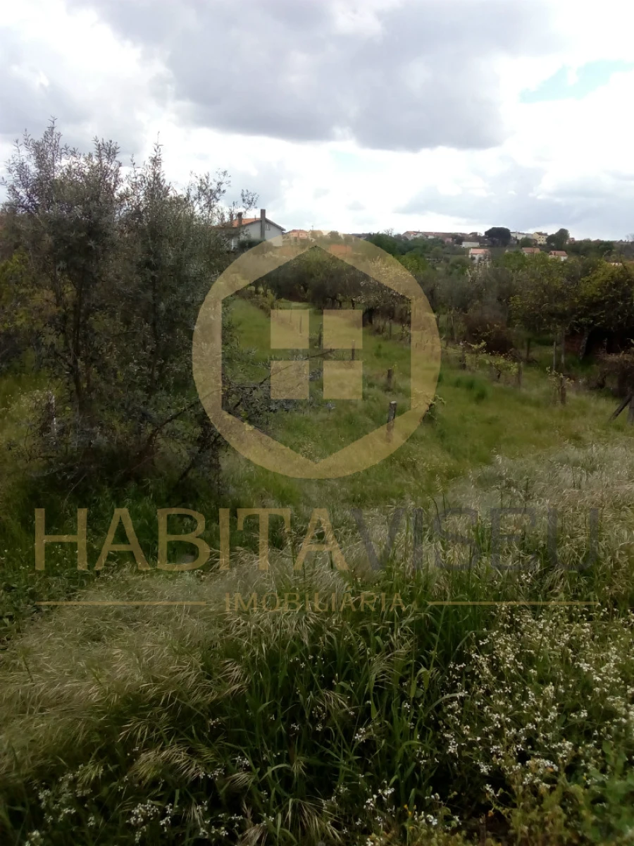 Quinta T4 para Venda em Mangualde, Mesquitela e Cunha Alta Foto 3