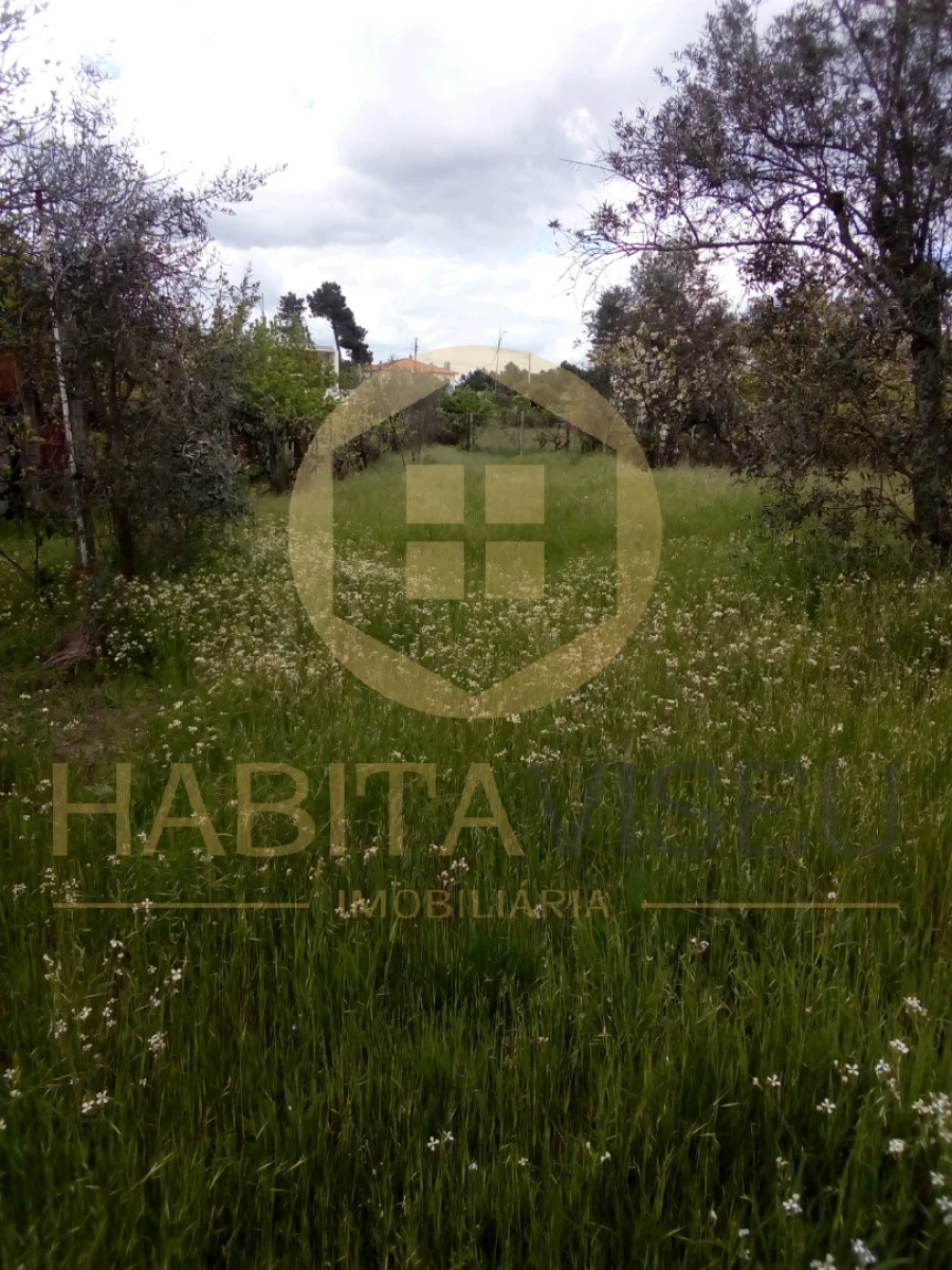 Quinta T4 para Venda em Mangualde, Mesquitela e Cunha Alta Foto 6