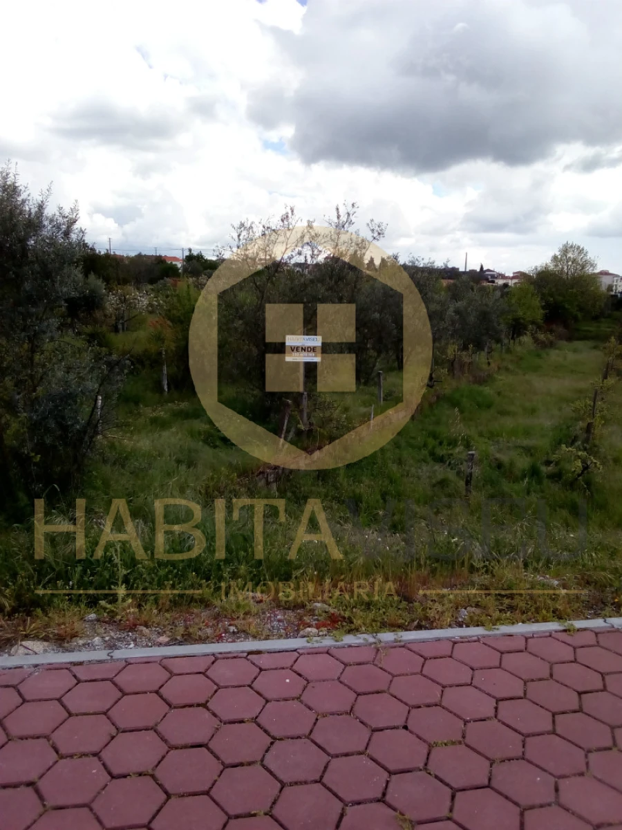 Quinta T4 para Venda em Mangualde, Mesquitela e Cunha Alta Foto 25