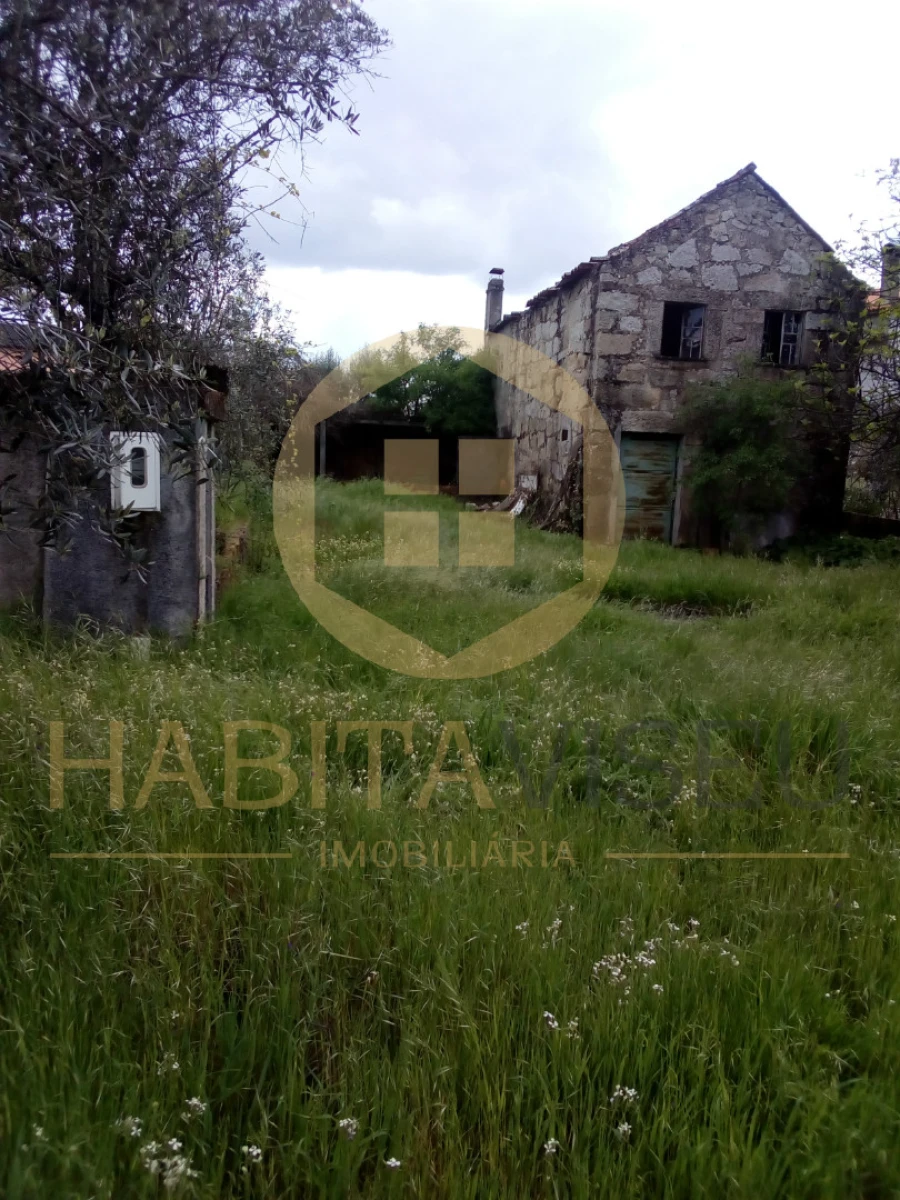Quinta T4 para Venda em Mangualde, Mesquitela e Cunha Alta Foto 9