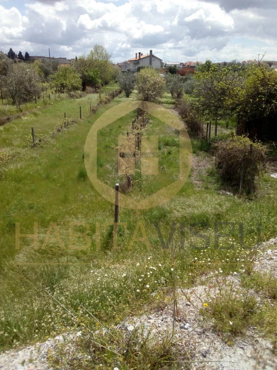 Quinta T4 para Venda em Mangualde, Mesquitela e Cunha Alta Foto 23
