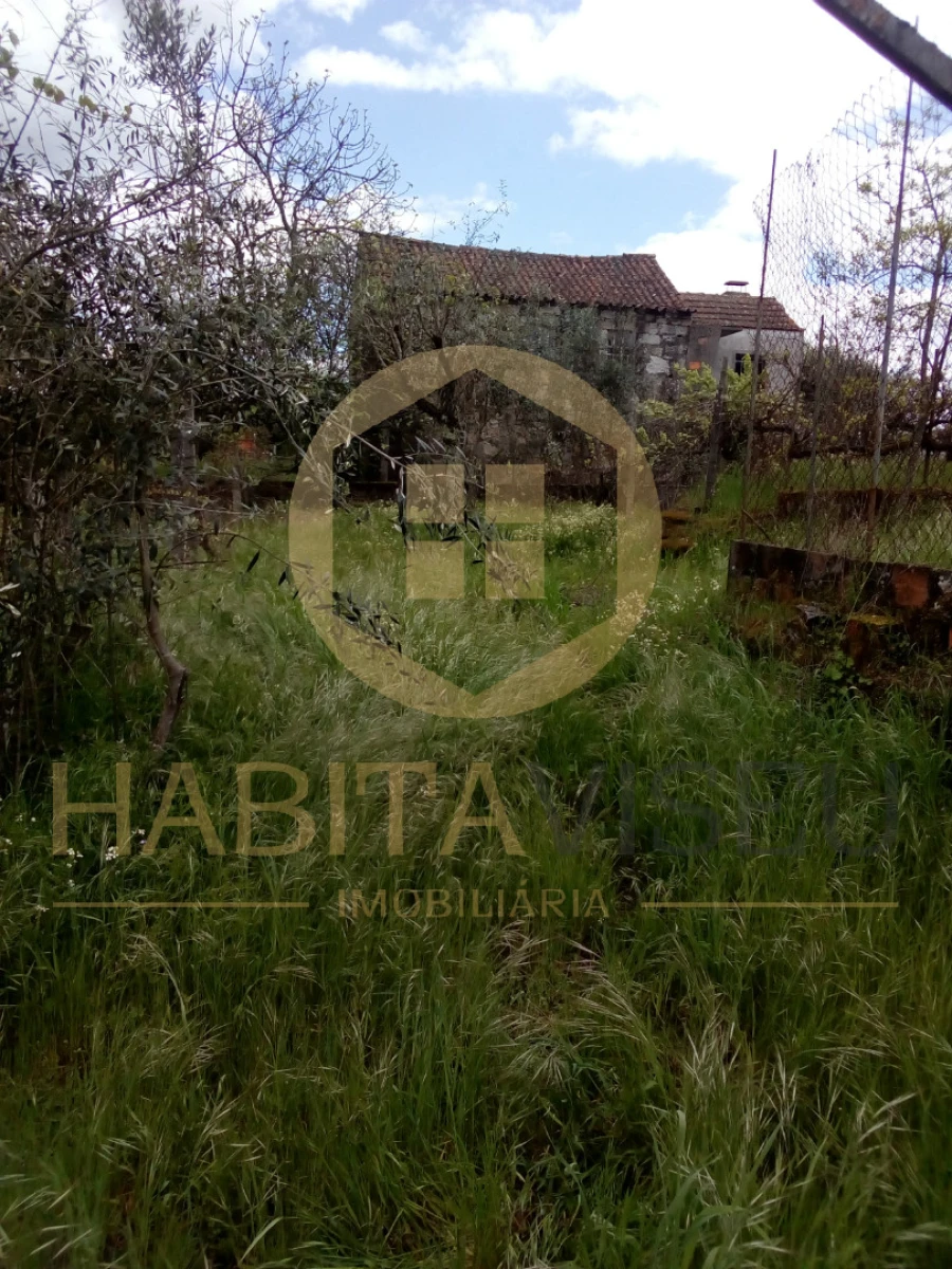 Quinta T4 para Venda em Mangualde, Mesquitela e Cunha Alta Foto 20