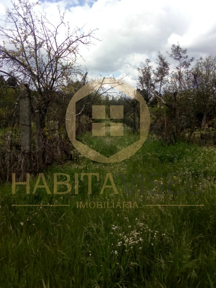 Quinta T4 para Venda em Mangualde, Mesquitela e Cunha Alta Foto 16