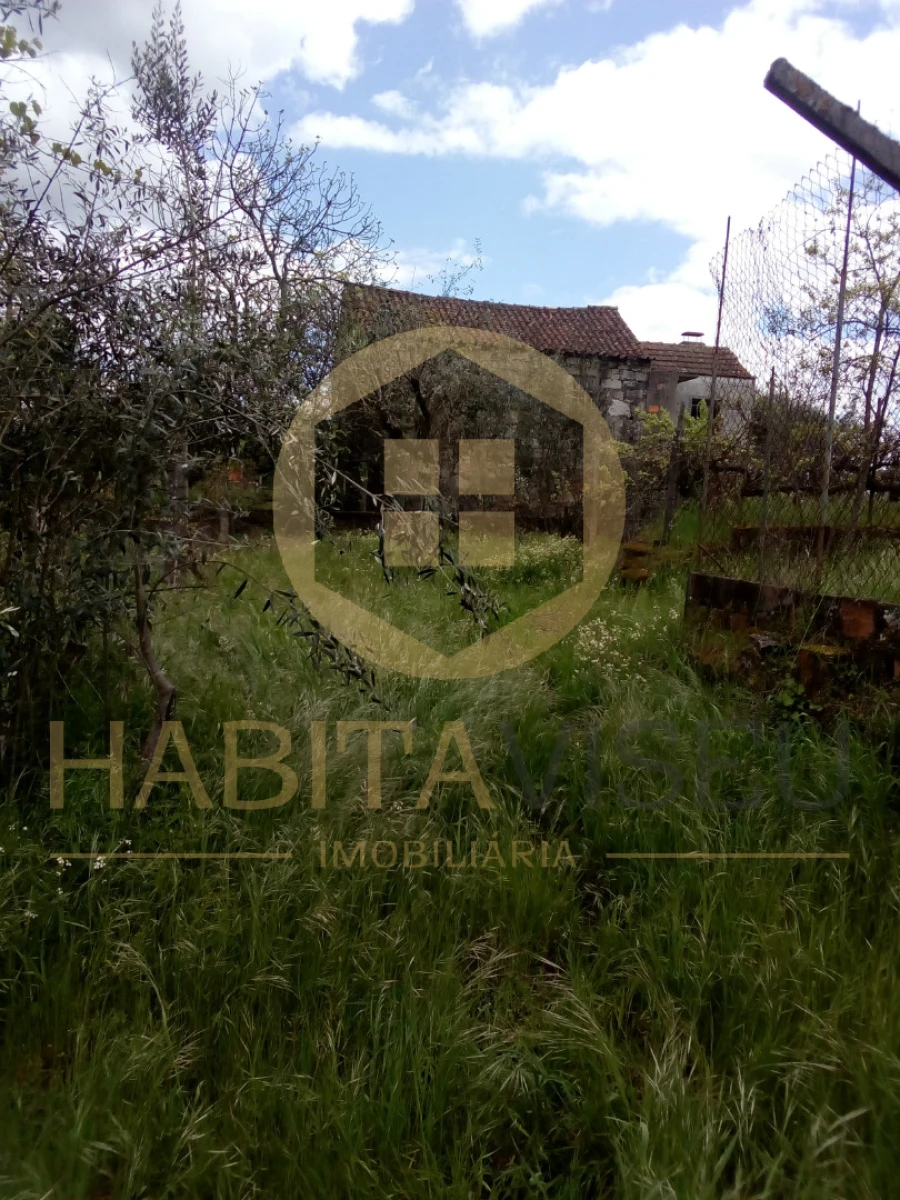 Quinta T4 para Venda em Mangualde, Mesquitela e Cunha Alta Foto 19