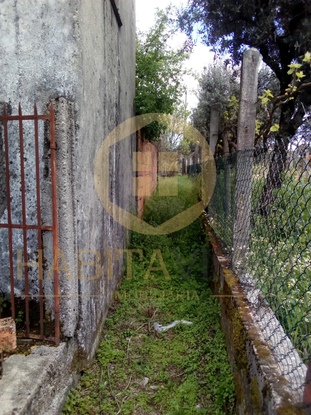 Quinta T4 para Venda em Mangualde, Mesquitela e Cunha Alta Foto 11