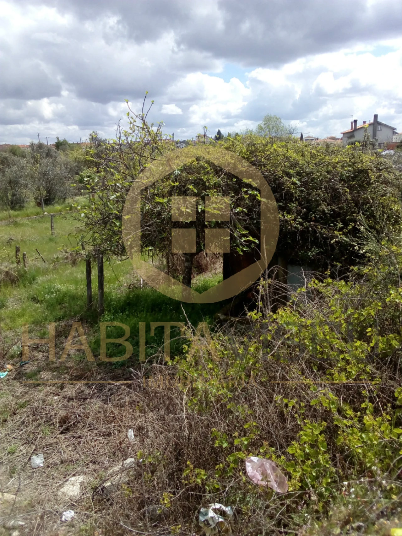 Quinta T4 para Venda em Mangualde, Mesquitela e Cunha Alta Foto 24